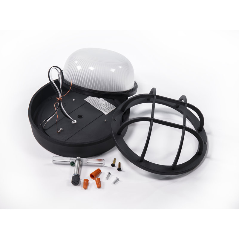 Coramdeo Lighting Aluminum LED Wall Light Wayfair